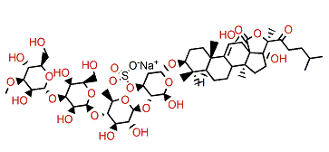 17-Hydroxy fuscocineroside B